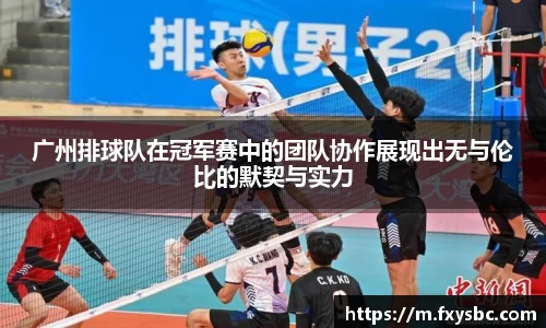 广州排球队在冠军赛中的团队协作展现出无与伦比的默契与实力